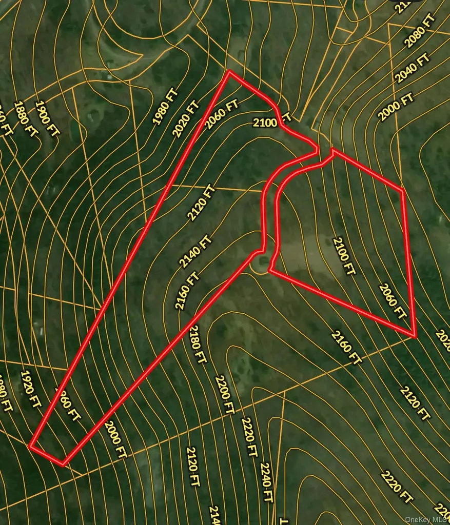295 Emerald Heights Road Downsville NY 13752