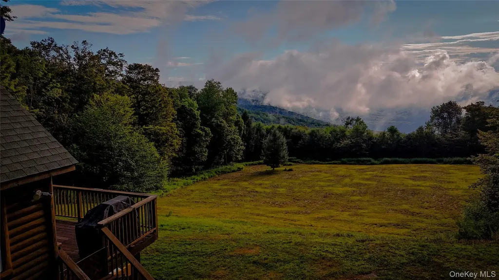 295 Emerald Heights Road Downsville NY 13752