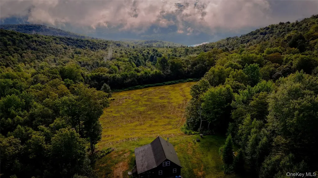 295 Emerald Heights Road Downsville NY 13752