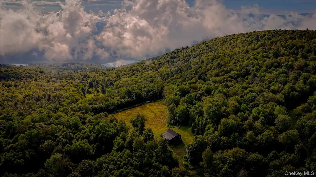 295 Emerald Heights Road Downsville NY 13752
