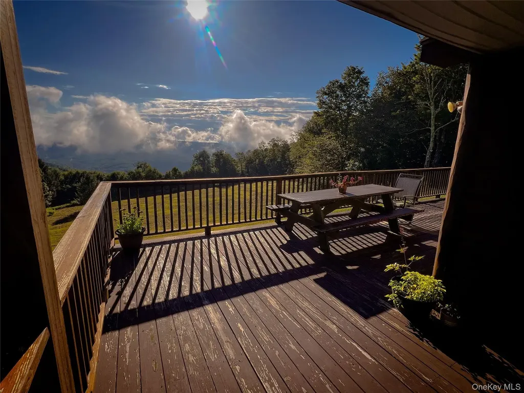 295 Emerald Heights Road Downsville NY 13752