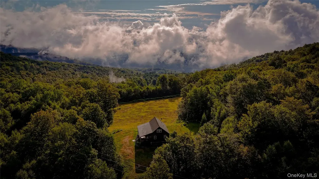 295 Emerald Heights Road Downsville NY 13752
