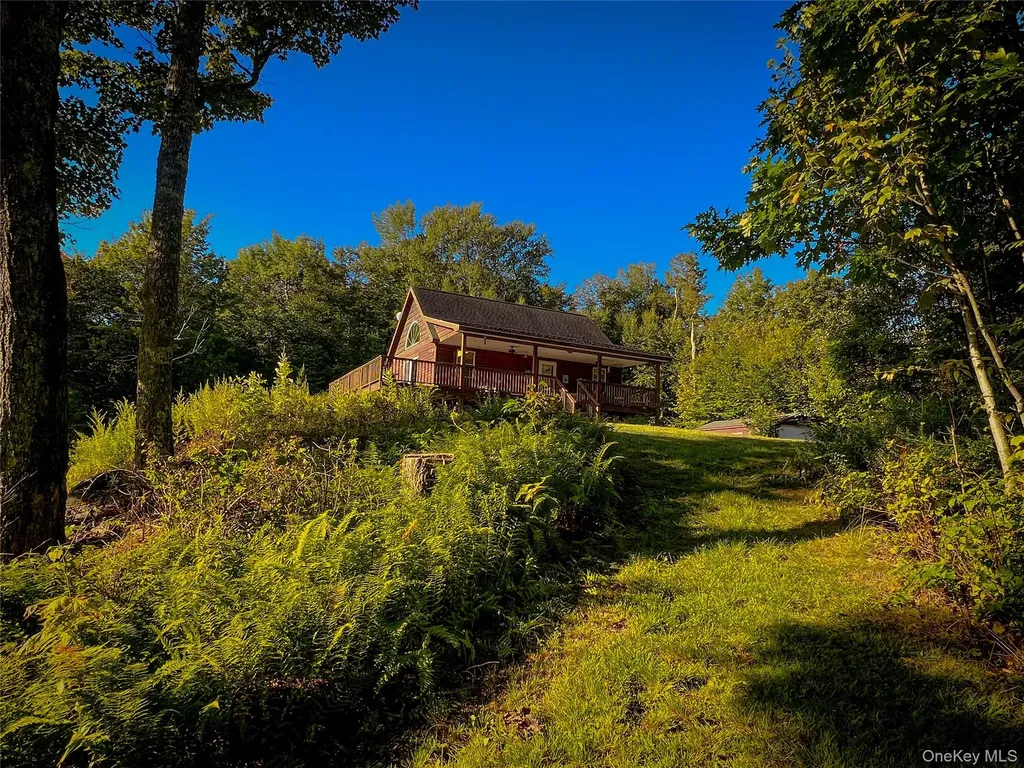 295 Emerald Heights Road Downsville NY 13752