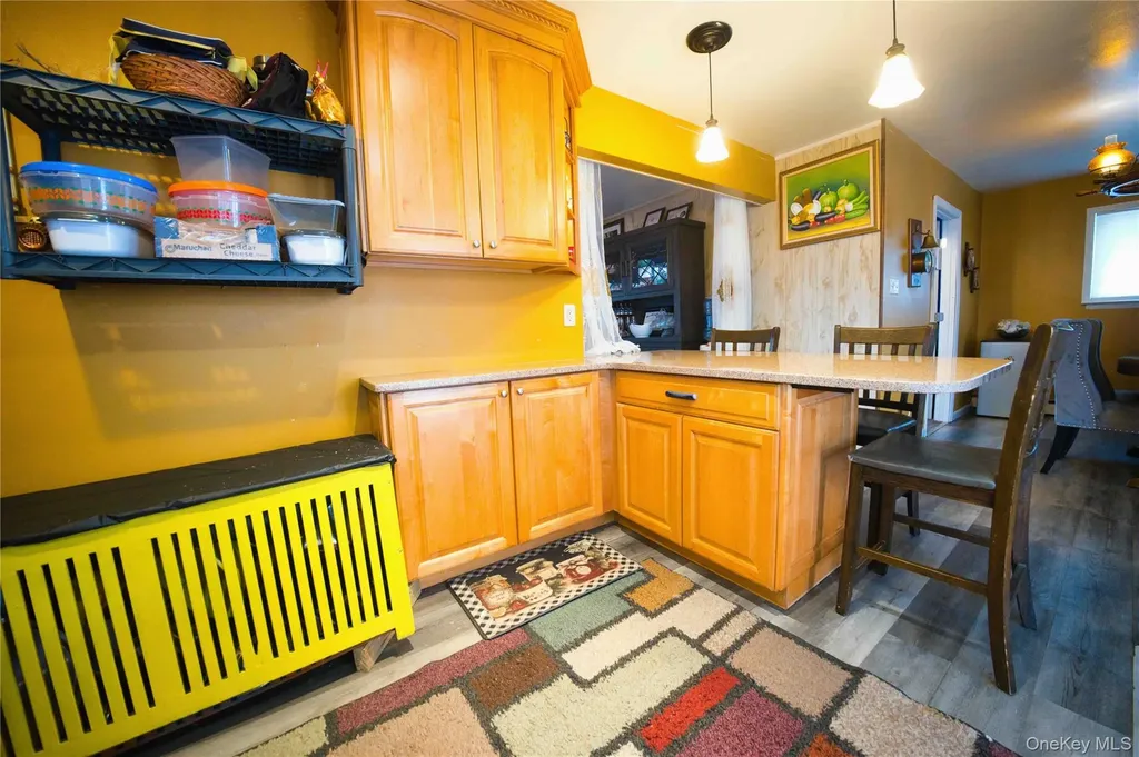 65 Cheshire Road Bethpage NY 11714