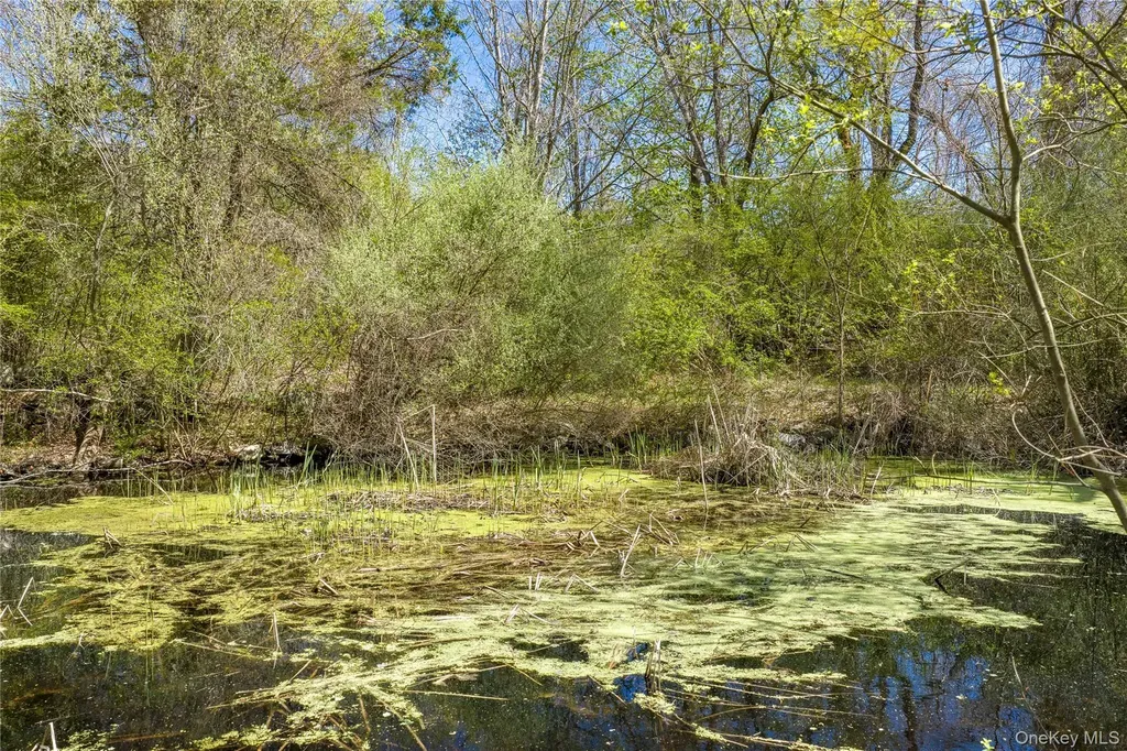 103 S Harmony Hill Road Pawling NY 12564