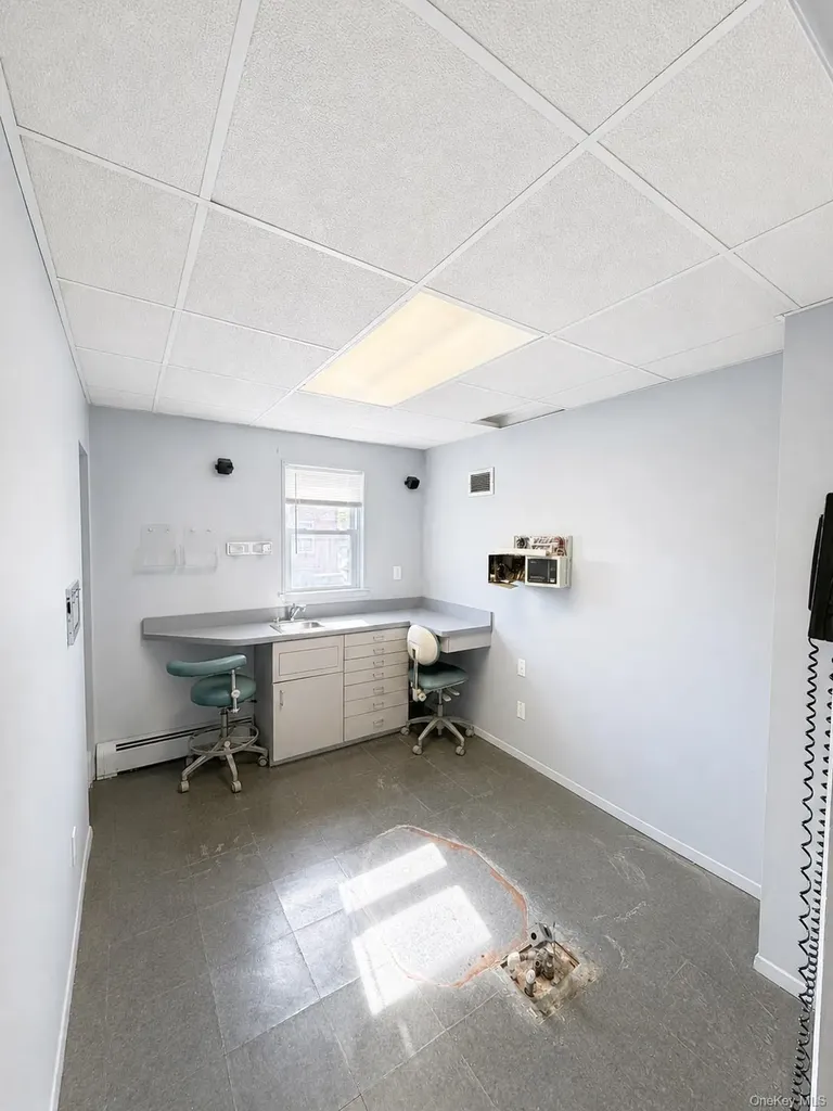 85 Hillside Avenue Williston Park NY 11596