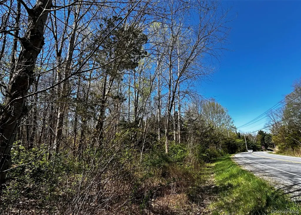 Bullshead Road Clinton Corners NY 12514