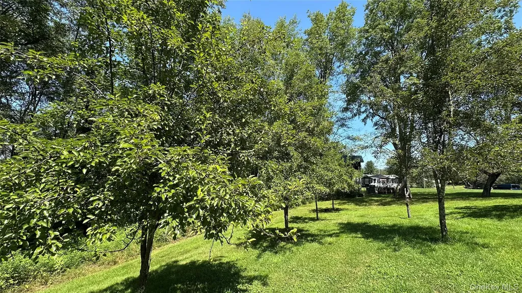 3377 State Route 52 White Sulphur Spring NY 12787