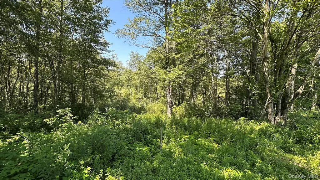3377 State Route 52 White Sulphur Spring NY 12787