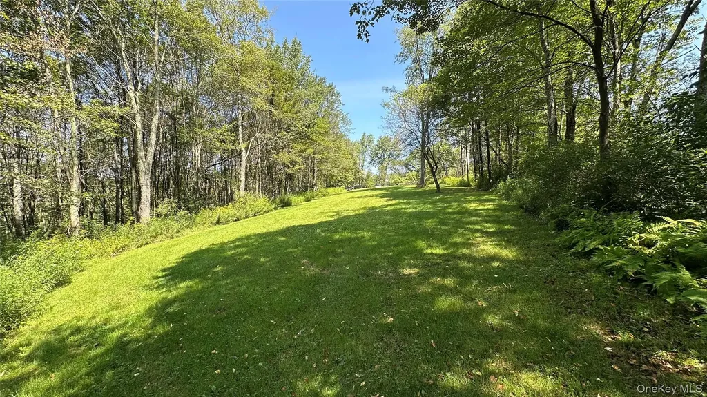 3377 State Route 52 White Sulphur Spring NY 12787