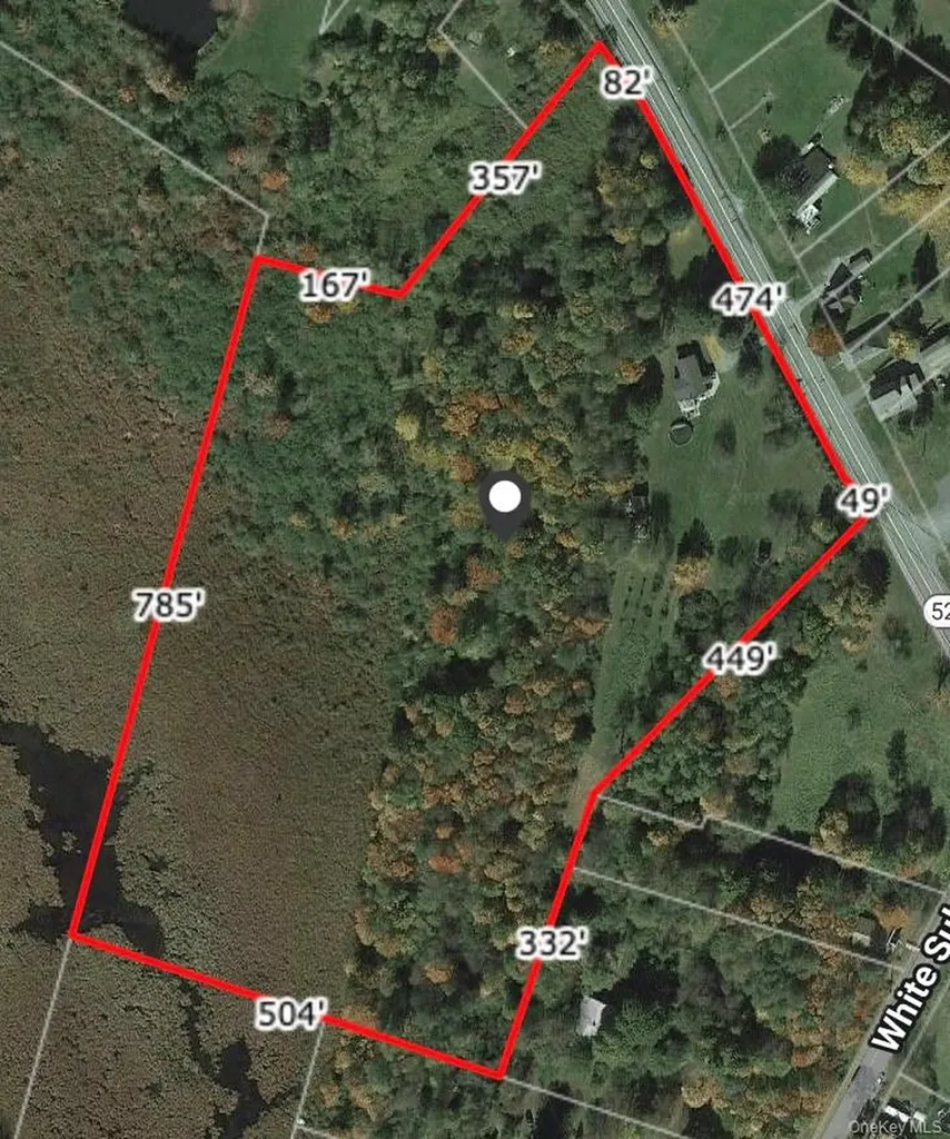 3377 State Route 52 White Sulphur Spring NY 12787