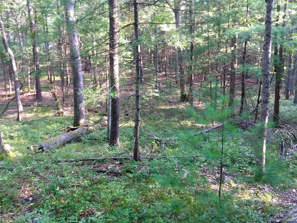 55 Old Plank Road Sparrowbush NY 12780