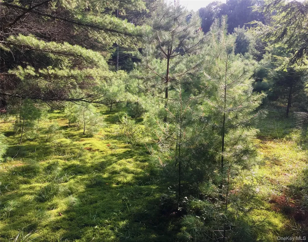 55 Old Plank Road Sparrowbush NY 12780