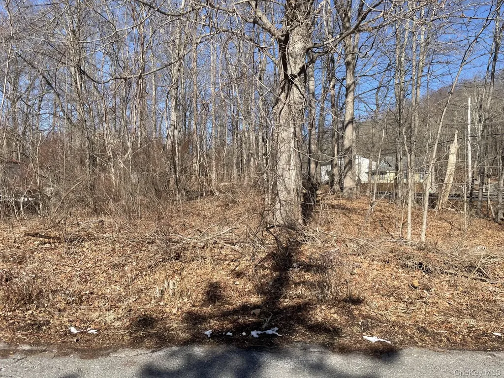 Route 52 Carmel NY 10512