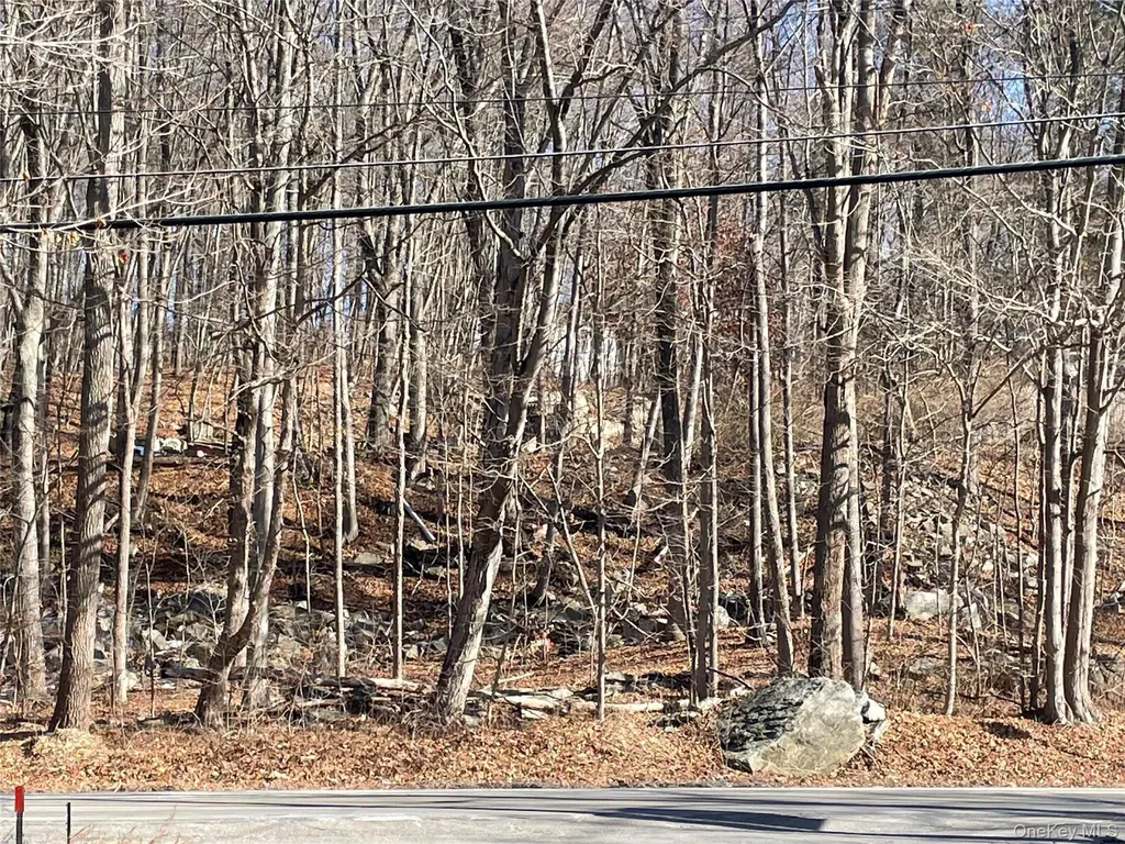 Route 52 Carmel NY 10512