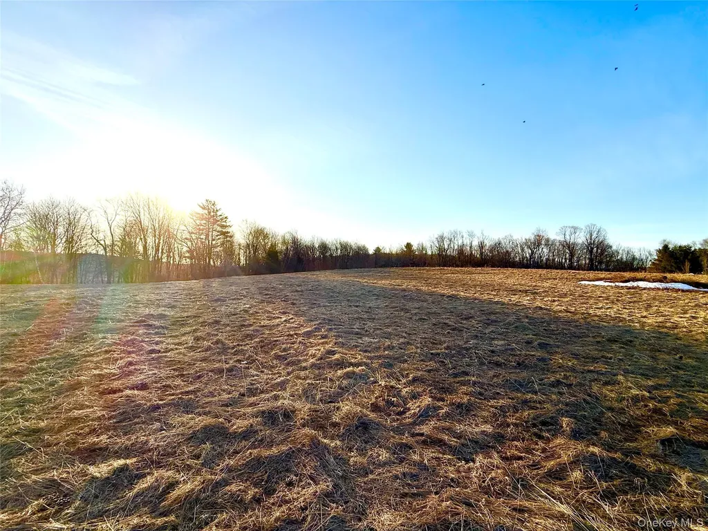 Tbd Snake Hill Road Walton NY 13775