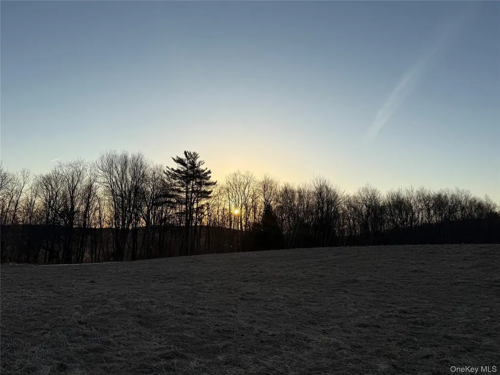 Tbd Snake Hill Road Walton NY 13775
