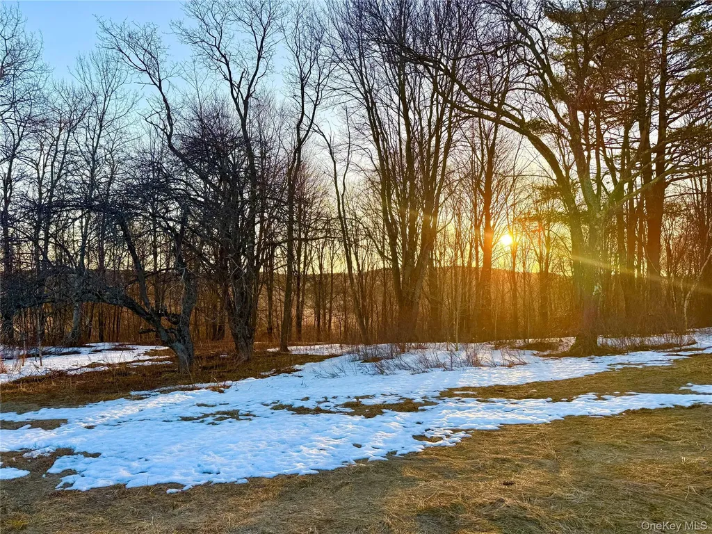 Tbd Snake Hill Road Walton NY 13775
