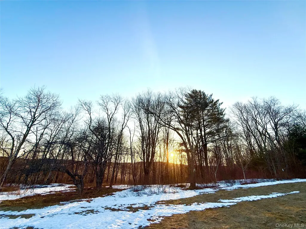 Tbd Snake Hill Road Walton NY 13775