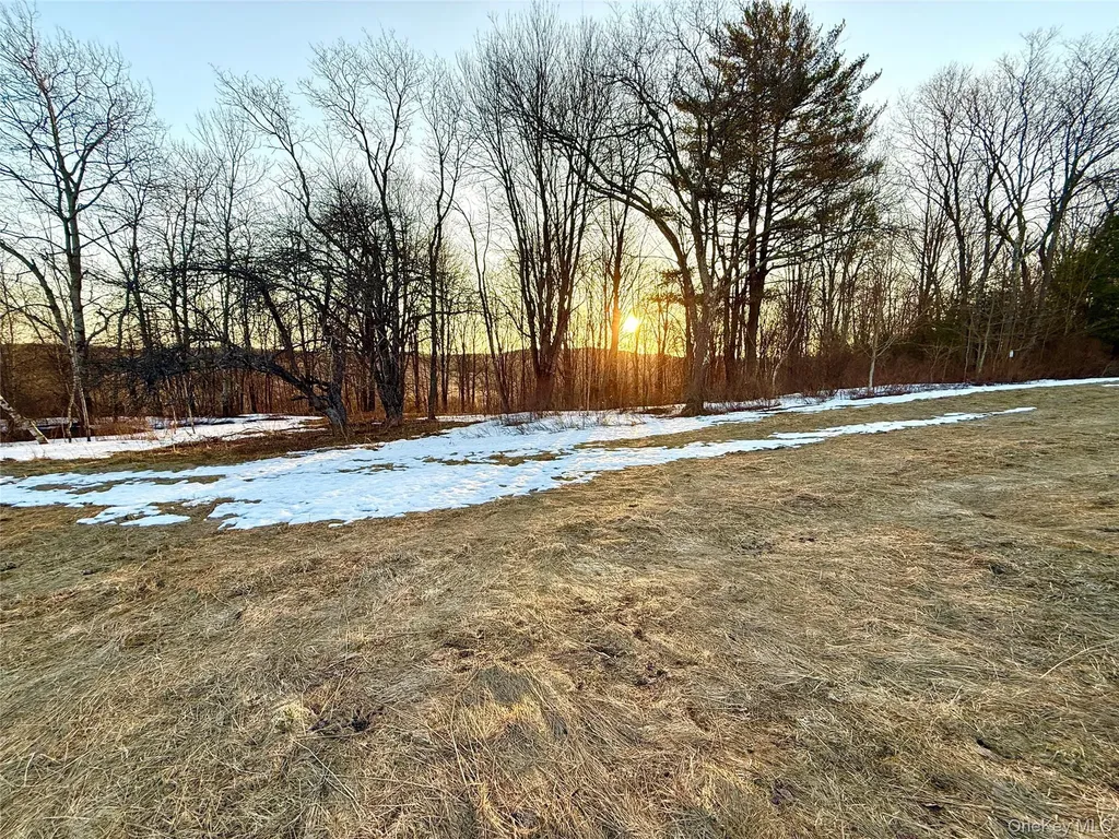 Tbd Snake Hill Road Walton NY 13775