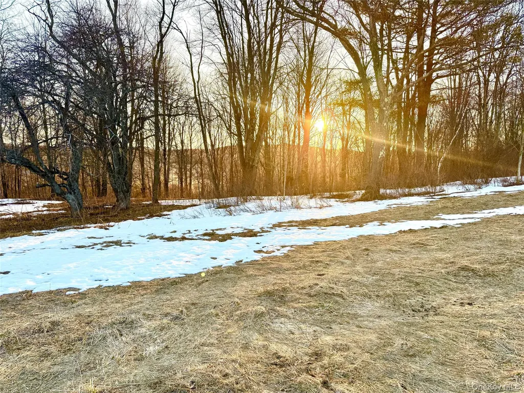 Tbd Snake Hill Road Walton NY 13775