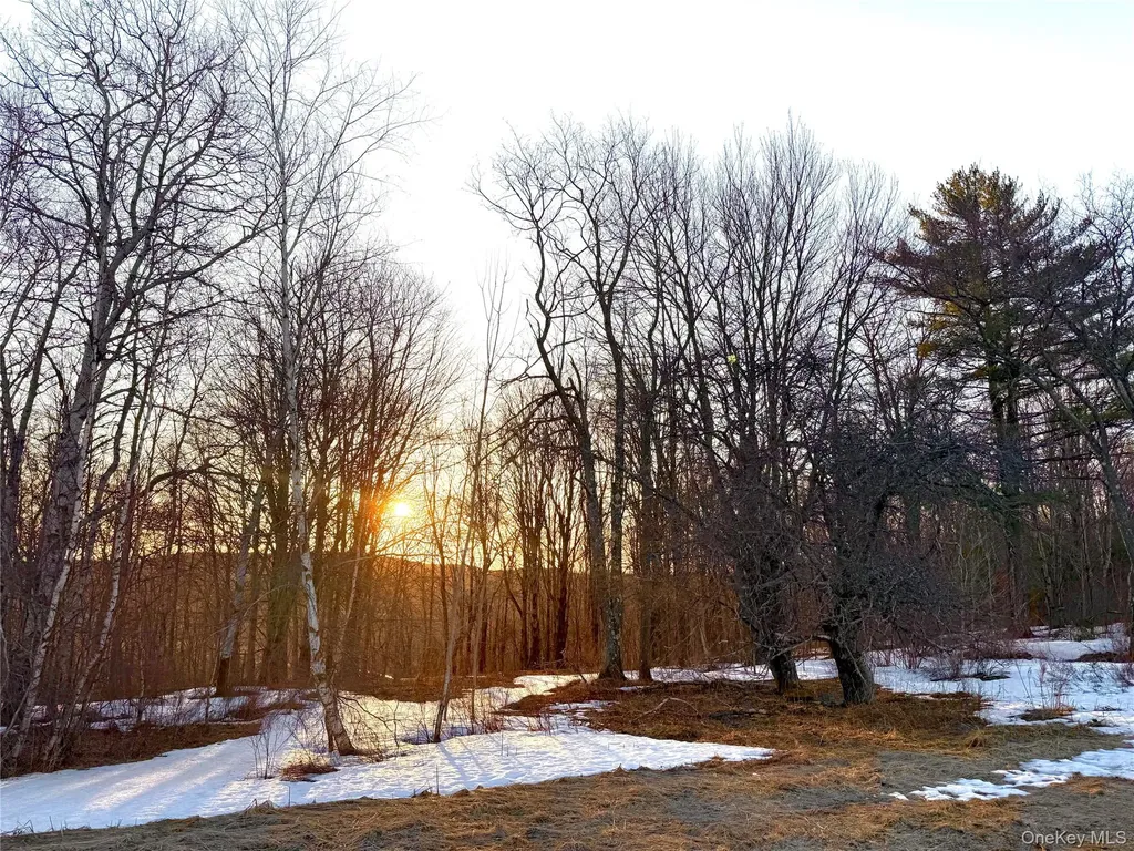 Tbd Snake Hill Road Walton NY 13775