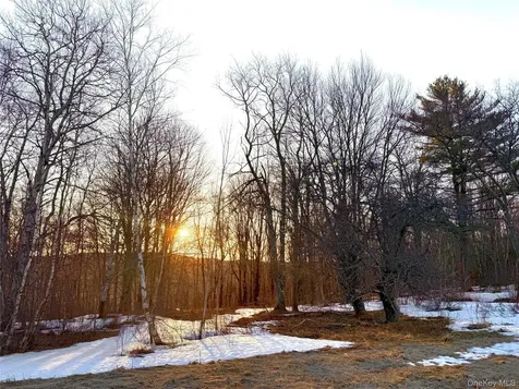 Tbd Snake Hill Road Walton NY 13775