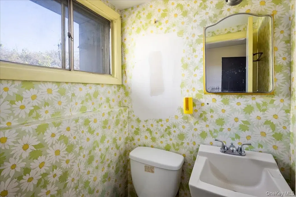 24 Roxbury Avenue Plainview NY 11803