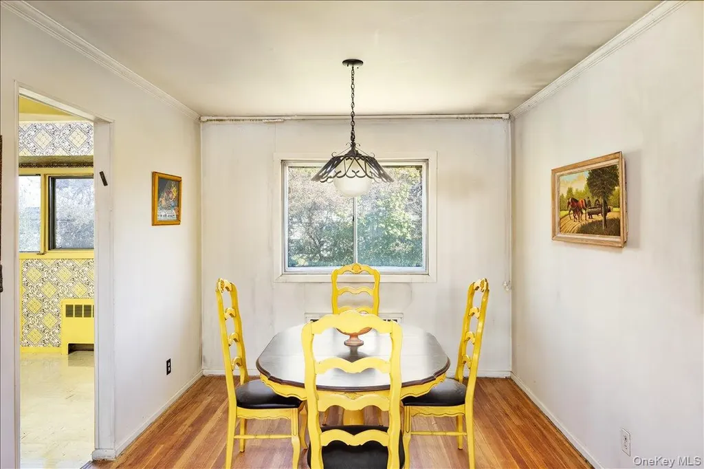 24 Roxbury Avenue Plainview NY 11803