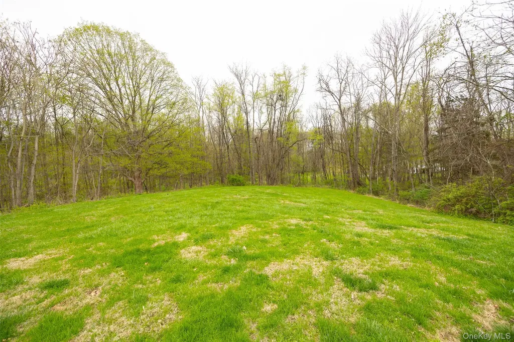 178 Overlook Lagrangeville NY 12603