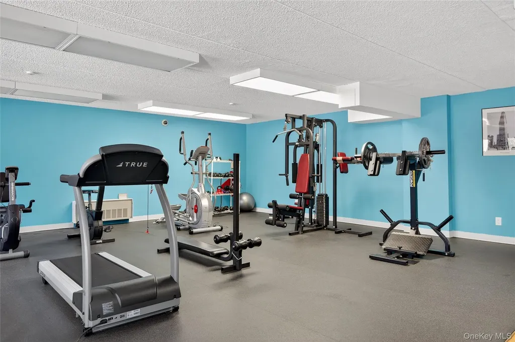 175 Maple Avenue Westbury NY 11590