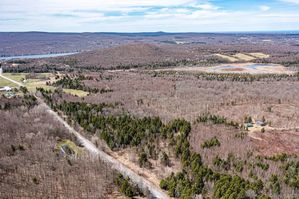 Spear Hill Road Other NY 12935