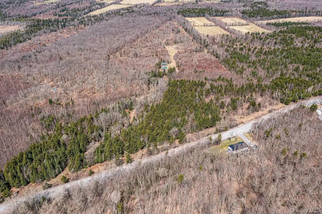 Spear Hill Road Other NY 12935