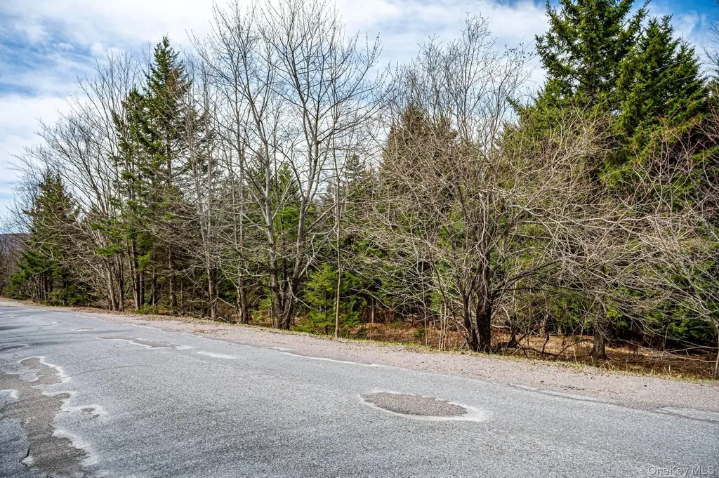 Spear Hill Road Other NY 12935