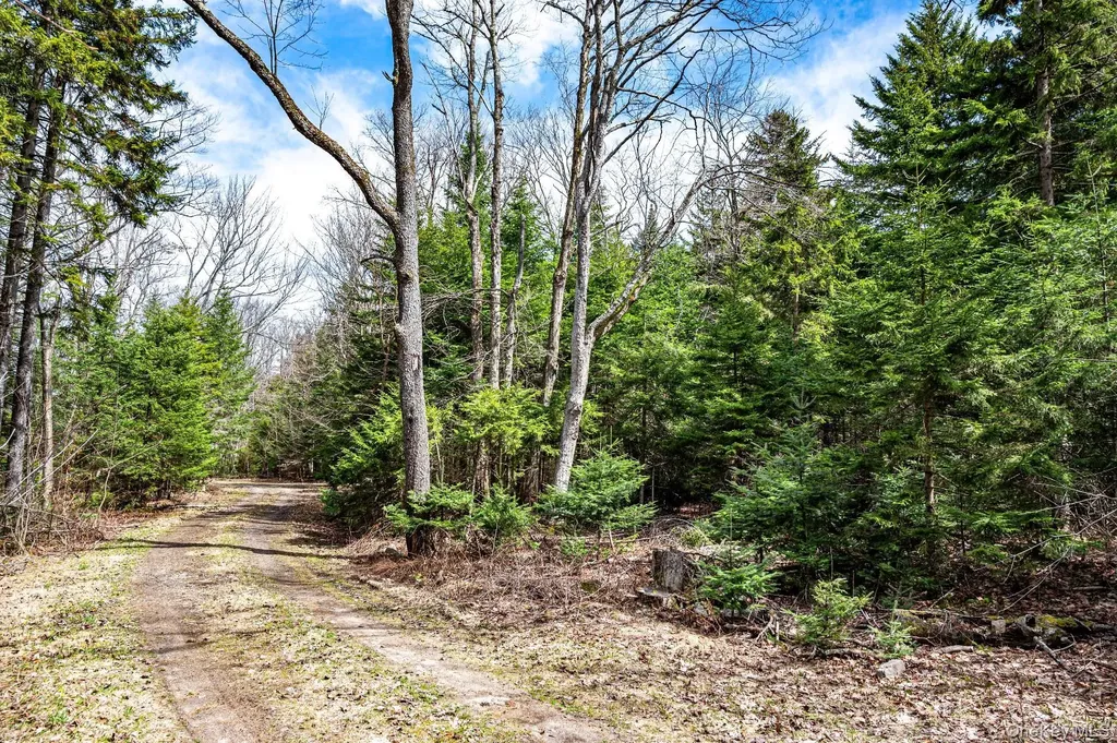 Spear Hill Road Other NY 12935