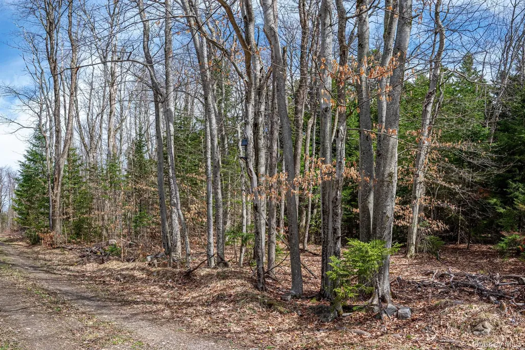 Spear Hill Road Other NY 12935