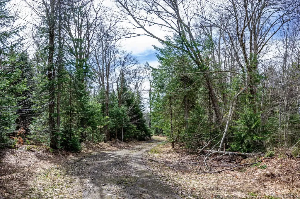 Spear Hill Road Other NY 12935