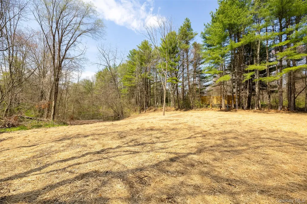 7 Eckelman Drive Hyde Park NY 12538
