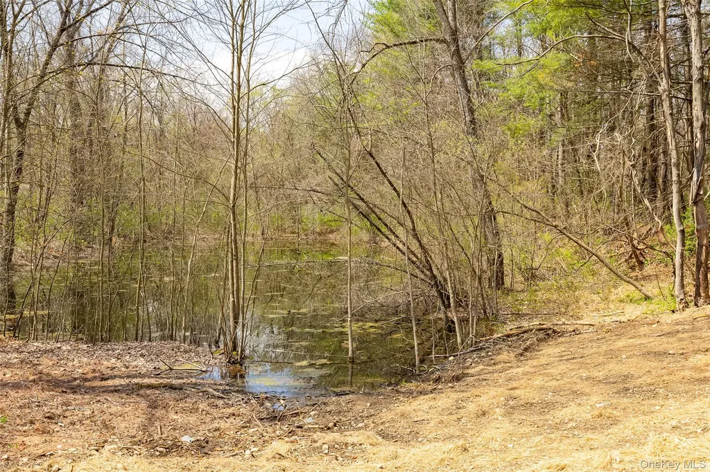 7 Eckelman Drive Hyde Park NY 12538