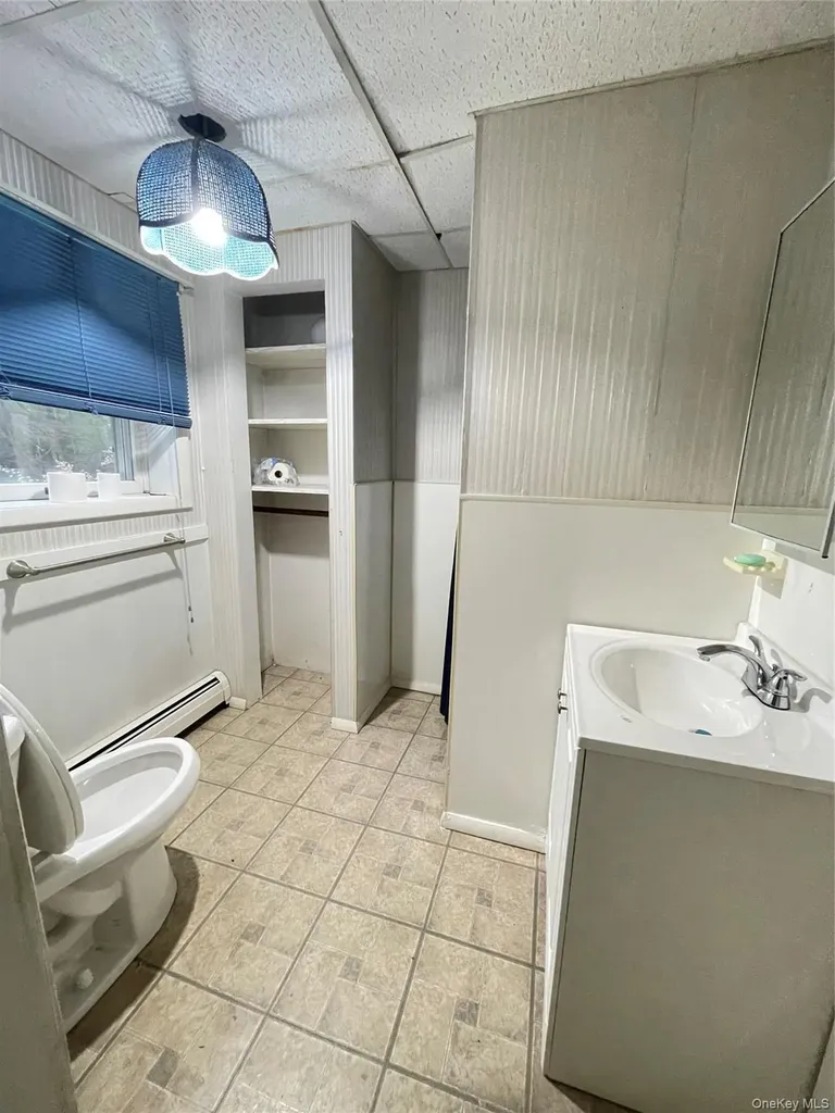 8 Albie Drive Hyde Park NY 12538