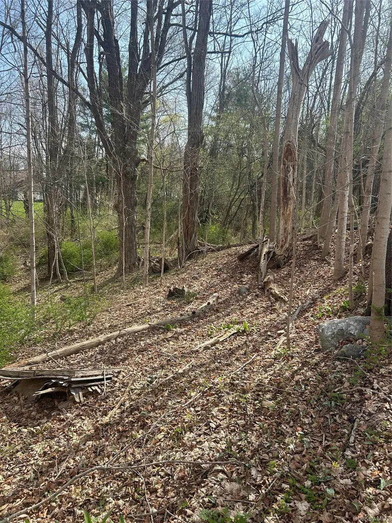 552 Holmes Road Holmes NY 12531