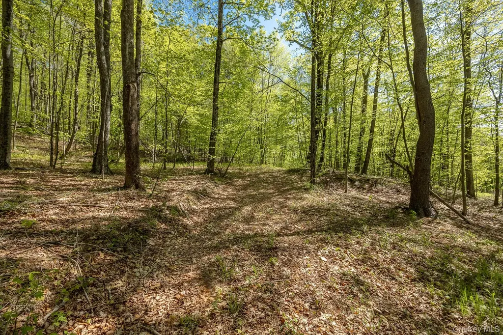 Overlook Drive Hillsdale NY 12529