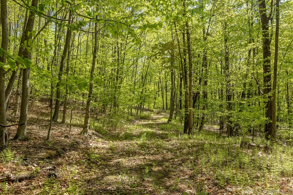 Overlook Drive Hillsdale NY 12529