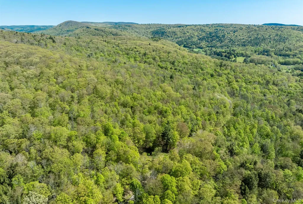 Overlook Drive Hillsdale NY 12529