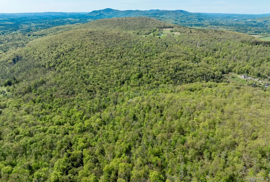 Overlook Drive Hillsdale NY 12529