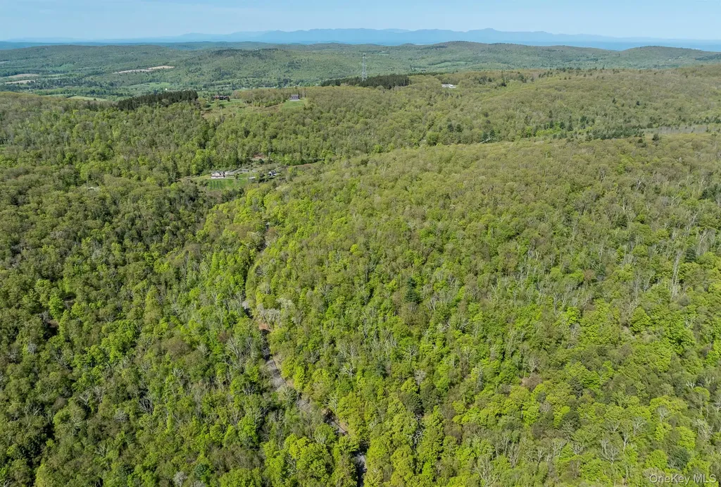 Overlook Drive Hillsdale NY 12529