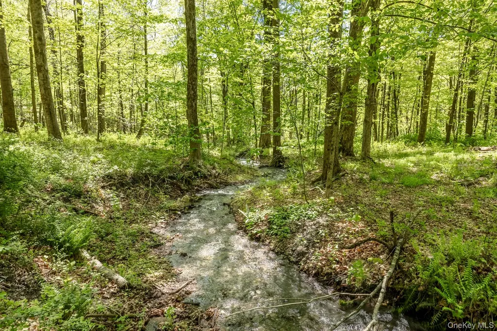 Overlook Drive Hillsdale NY 12529