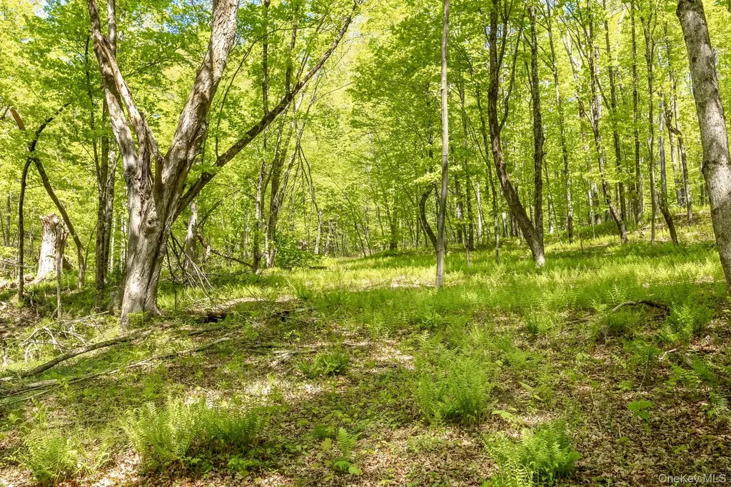 Overlook Drive Hillsdale NY 12529