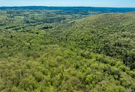 Overlook Drive Hillsdale NY 12529
