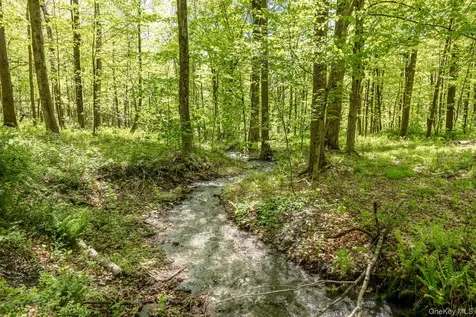 Overlook Drive Hillsdale NY 12529